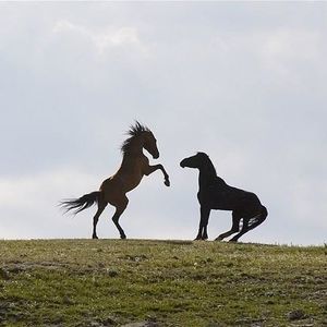 Meet your Posher, Emma louise